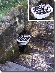 Bierflaschen im Waldbrunnen - Quellwasser gekühlt