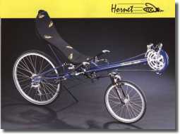 Recumbent Radius Hornet I