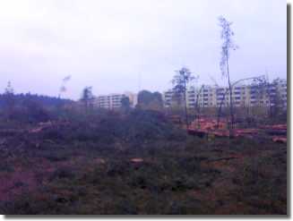 Concrete boxes in the former forest